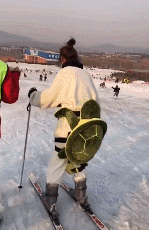 滑雪花式翻车现场看完笑到脱力！网友：带入感极强