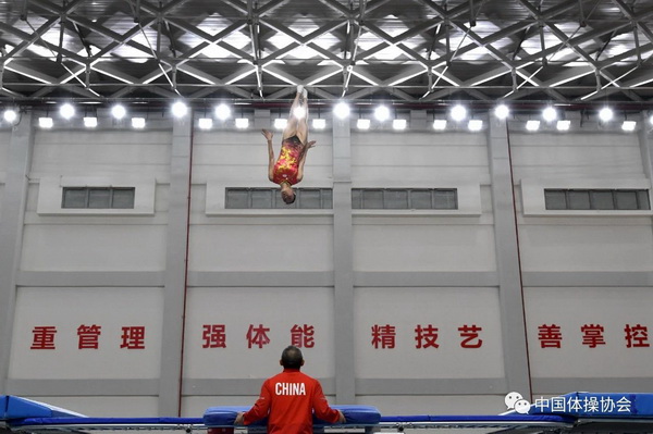 选手在比赛中。图片来源：中国体操协会。
