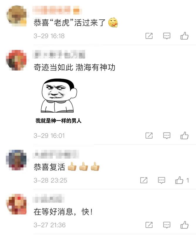 天津津门虎微博评论区重现生机。 天津津门虎微博评论区重现生机。