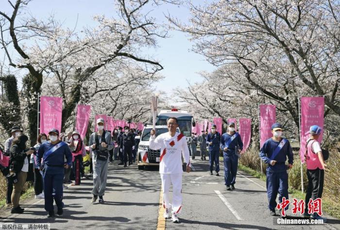 当地时间3月29日，日本栃木，2020东京奥运会火炬传递第5日，火炬在一片樱花树下传递，道路两旁樱花盛开美如画。