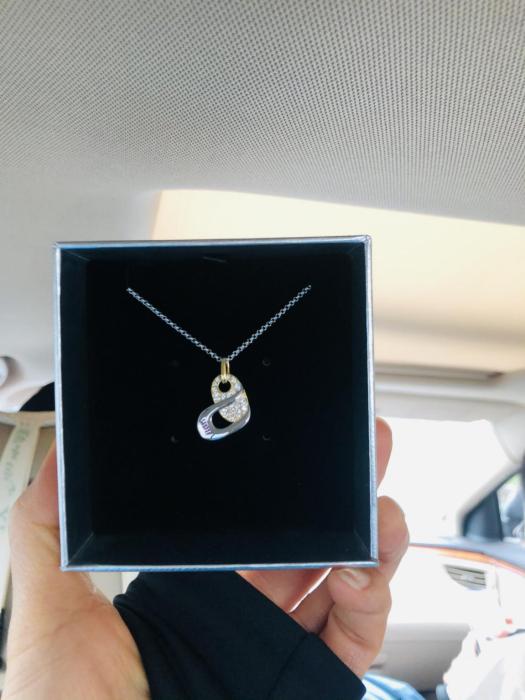 “丽人18”女子半马完赛项链的设计理念是“闪亮的生命”。组委会供图 “丽人18”女子半马完赛项链的设计理念是“闪亮的生命”。组委会供图