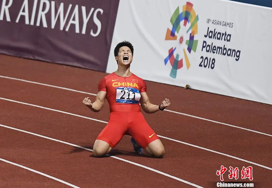 不止杨倩！这届奥运会中国代表团的学霸可太多了！